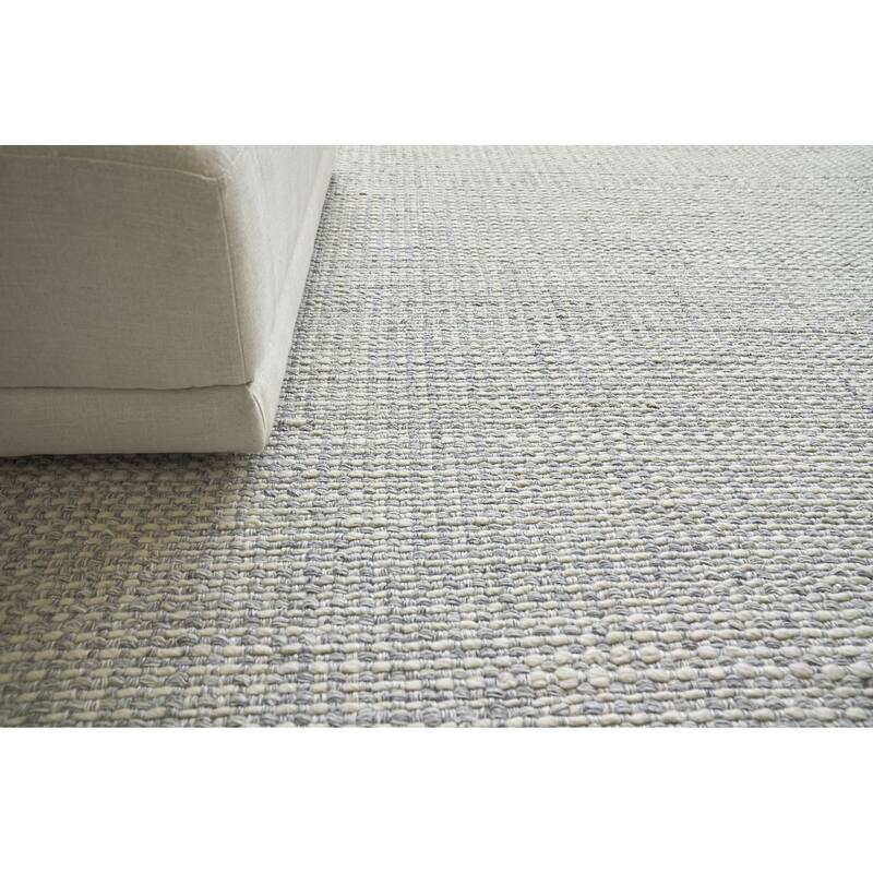 EXQUISITE RUGS Ferrus Handwoven Polyester/Wool/Cotton Silver/Ivory Area Rug.