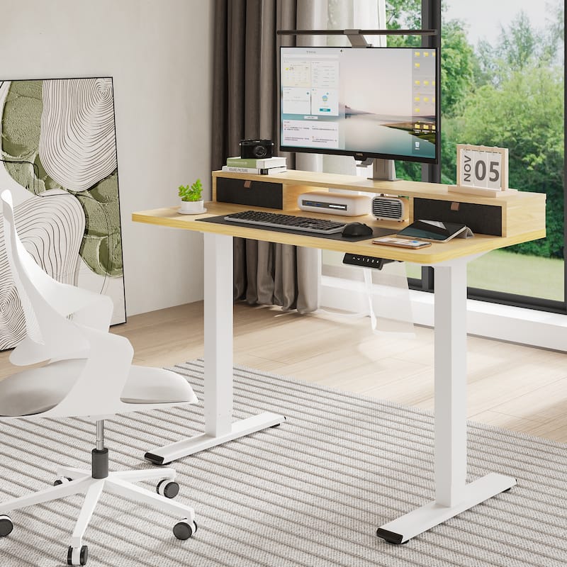 FlexiSpot 48"x24"/55"x24" Ergonomic Height Adjustable Standing Desk with 2 Drawers, Monitor Stand Computer Desk