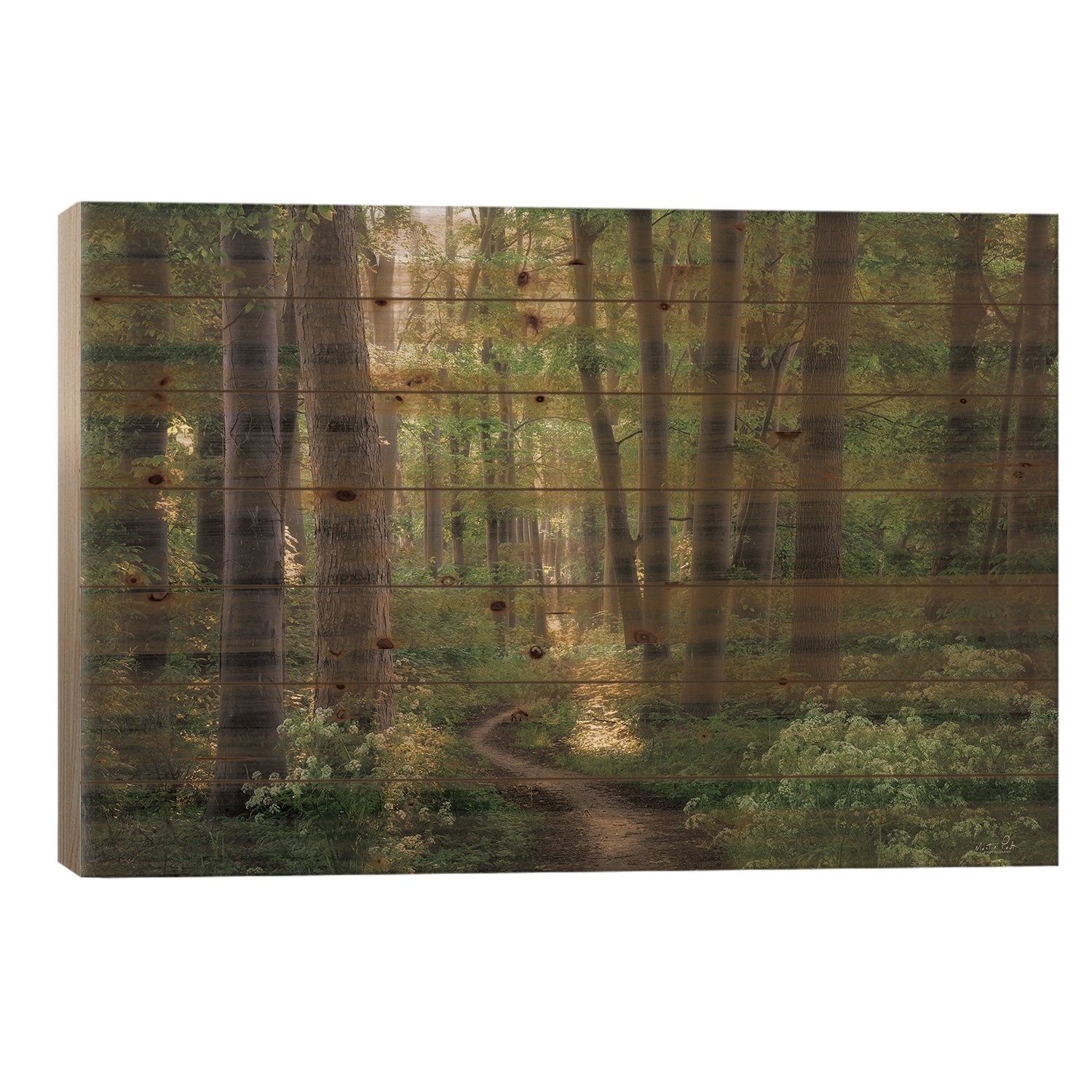 Spring Chaos Print On Wood by Martin Podt - Multi-Color