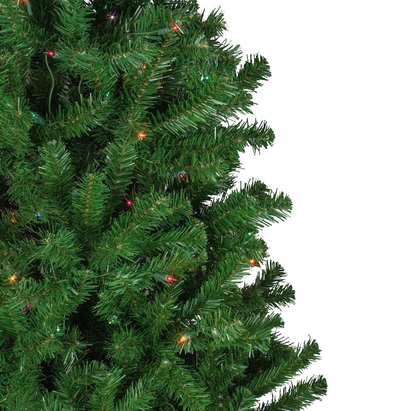 7' Pre-Lit Norfolk Spruce Artificial Christmas Tree Multi Lights