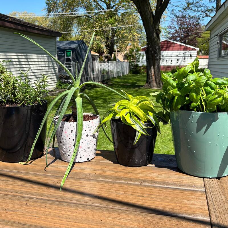 7" Round Self-Watering Indoor/Outdoor Bamboo Pots