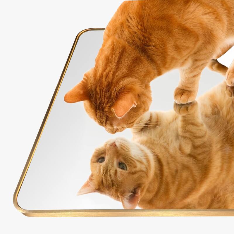 2 Pack Rectangle Vanity Mirror Wall Mirror