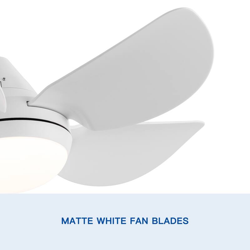 6 Speeds Integrated LED Ceiling Fan Lighting with Remote Control, 30 inch Low Profile Ceiling Fans with 5 Reversible Blades