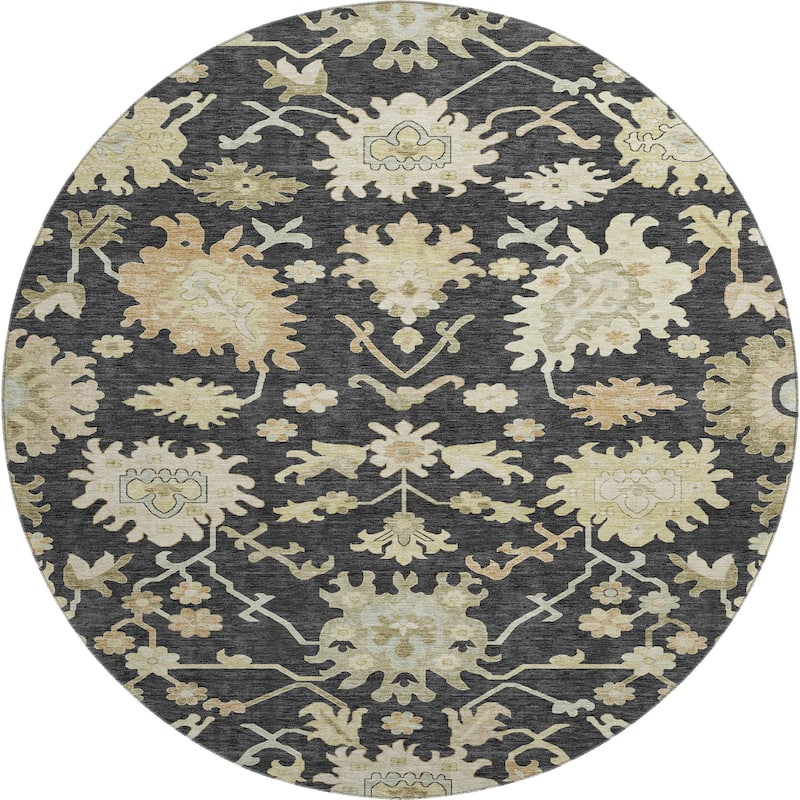 Premium Washable Super Soft Traditional Persian Mayfield Rug