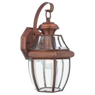 Quoizel Newbury 8" Outdoor Hanging Light in Aged Copper
