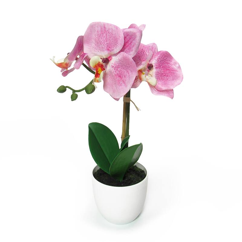 Artificial Phalaenopsis Orchid Flower Arrangement in White Pot 13in