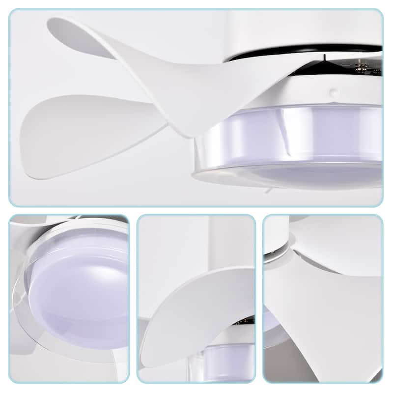 21 inch Flush Mount Ceiling Fan with Light and Remote Control, 6 Speed Reversible DC Motor, LED Ceiling Fan Lighting