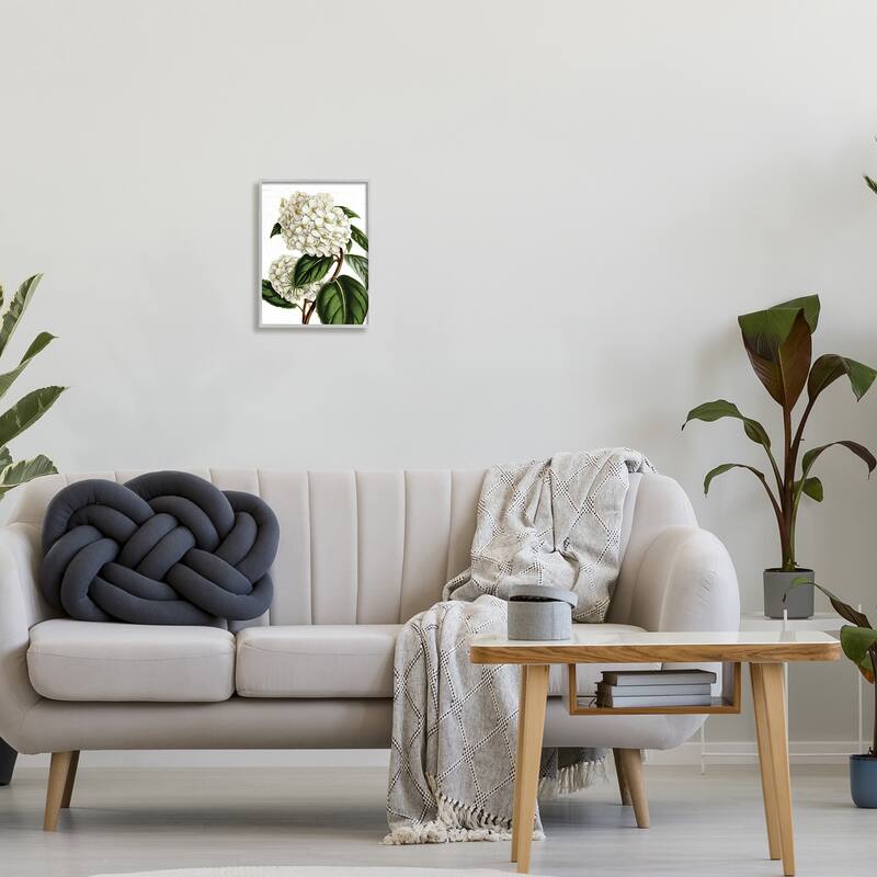 Stupell Begonia Opuliflora Flower Stem Vintage Botanical Study Framed Wall Art, Design by Lettered and Lined - Green