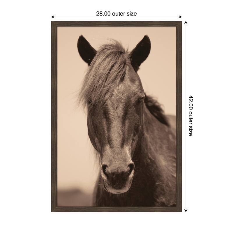 Kate and Laurel Equine Horse by Robert Cadloff Framed Wall Art Print