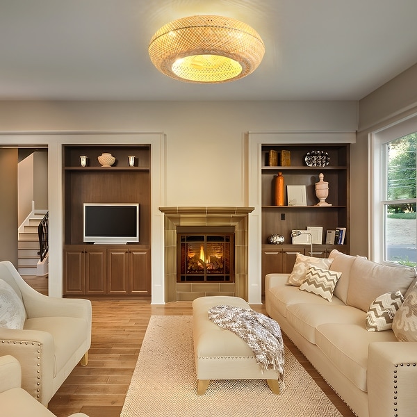 20 inch ceiling light outlet