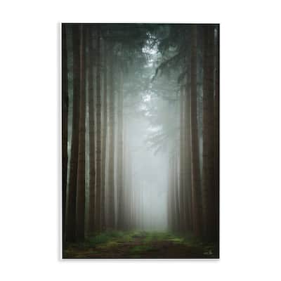 Stupell Moonlight Through Dark Forest Wall Plaque Art Design By Martin Podt