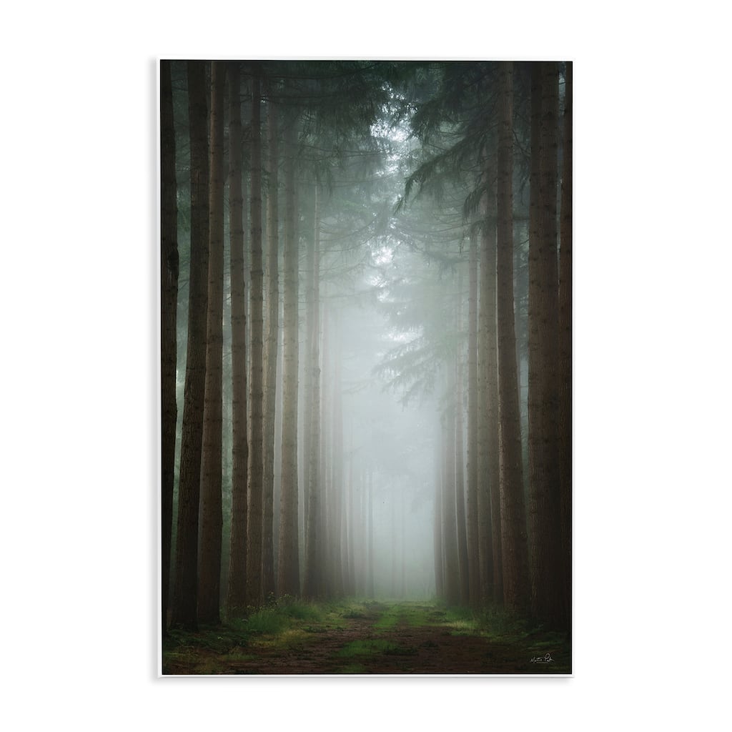 Stupell Moonlight Through Dark Forest Wall Plaque Art Design By Martin Podt