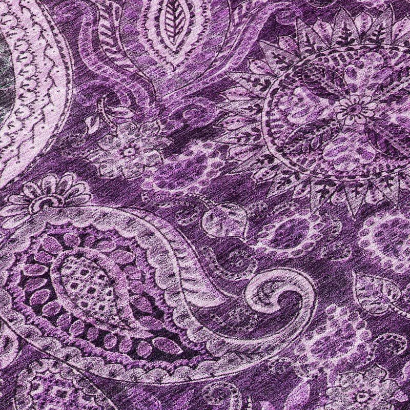 Machine Washable Indoor/ Outdoor Modern Paisley Chantille Rug