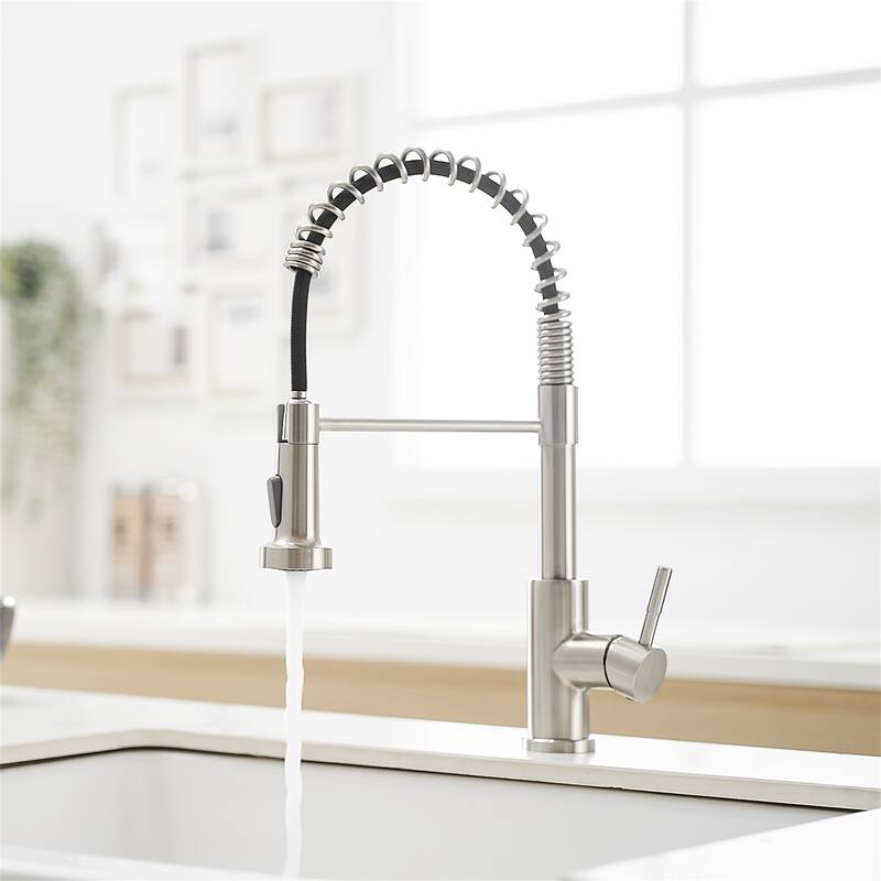 Stainless Steel Kitchen Faucet with Pull-Down Sprayer, Single Handle