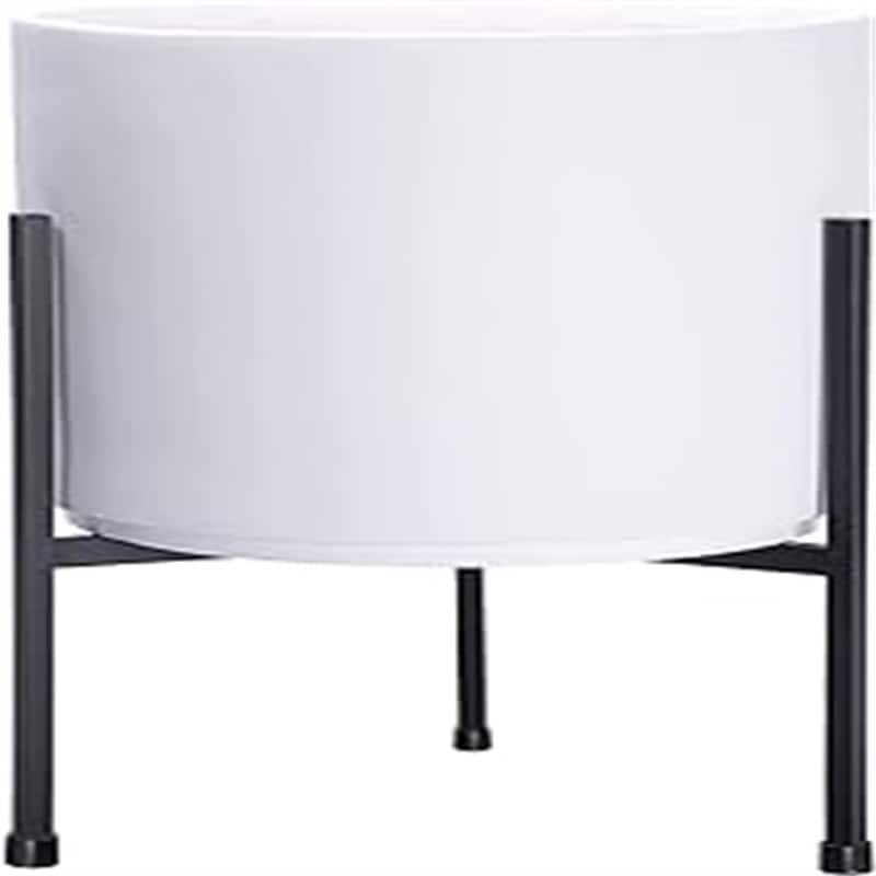 Modern Plants - 10.1"D x 10.1"W x 10.1"H - White Medium 10 Inch