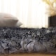 preview thumbnail 37 of 201, SAFAVIEH Handmade Natural Sheepskin Leanca 3.4-inch Thick Rug