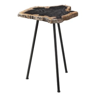 Uttermost Mircea 16" Wide Cross Section Petrified Wood Accent Table by