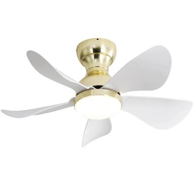 Modern Indoor LED Ceiling Fan with Light