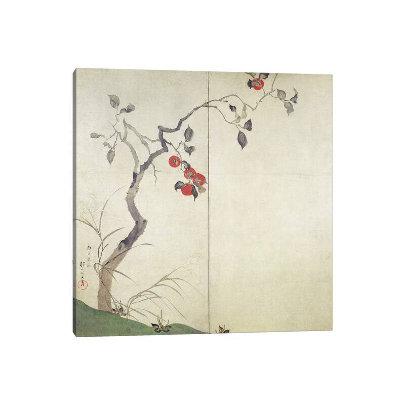 iCanvas "Persimmon on Tree " by Sakai Hoitsu Canvas Print