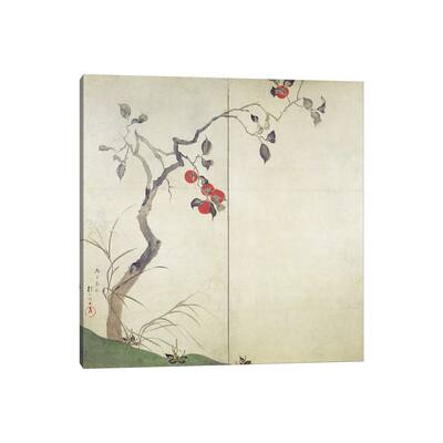 iCanvas "Persimmon on Tree " by Sakai Hoitsu Canvas Print