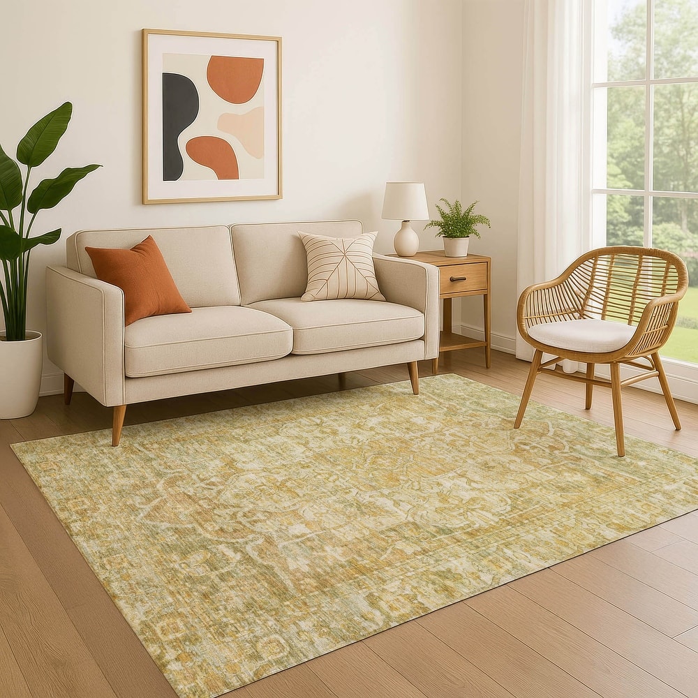 Premium Washable Super Soft Vintage Traditional Mayfield Rug