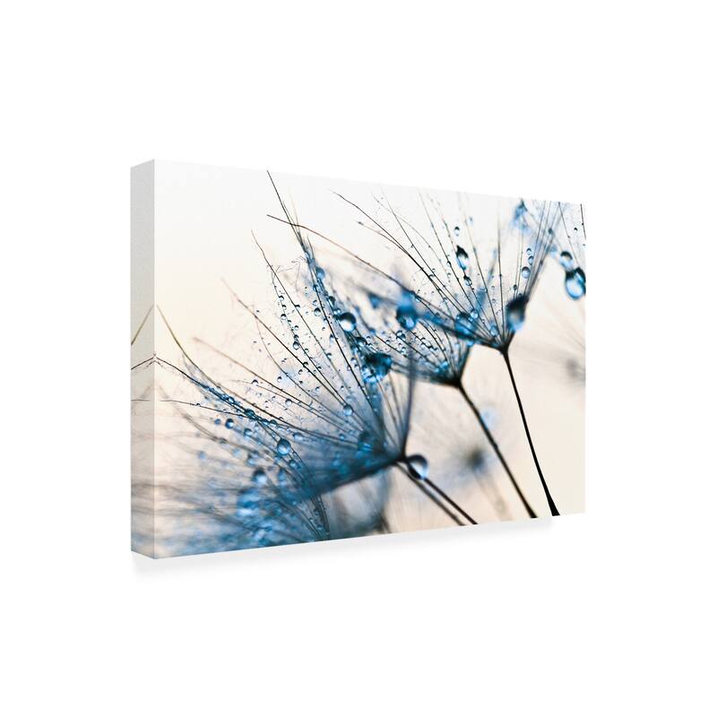 PhotoINC Studio 'Mystic Blue' Canvas Art