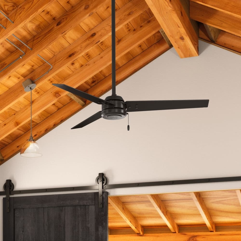 Hunter 52" Cassius Outdoor Ceiling Fan with Pull Chain, Damp Rated - Industrial, Contemporary, Farmhouse