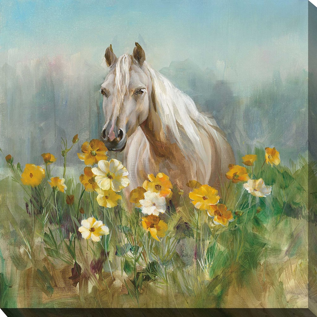 "Farm and Field II" by Danhui Nai Print on Canvas