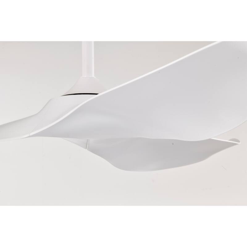 Duncan Modern 3 Bladed Ceiling Fan with Remote