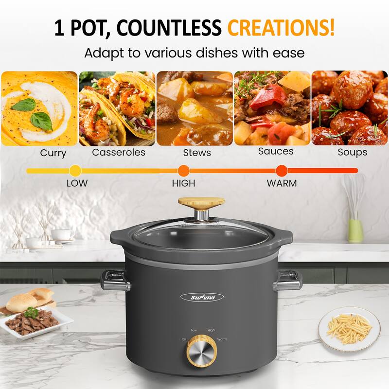 2 Quart Slow Cooker with 3 Heating Settings