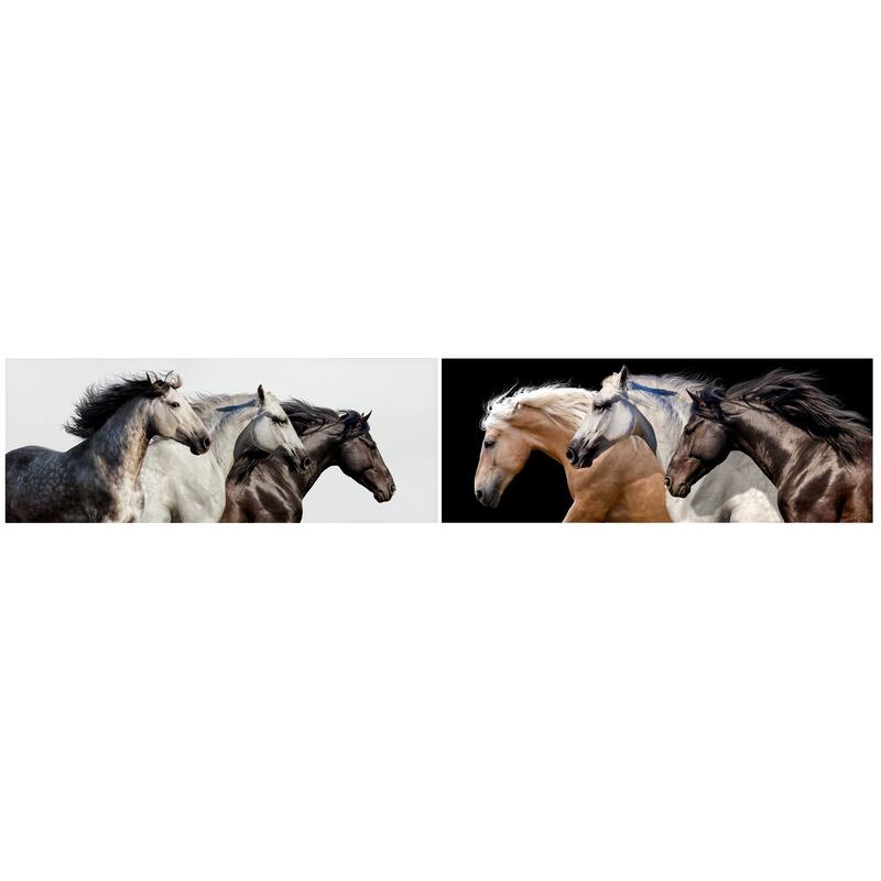 Horse Glass Wall Art Printed on Frameless Free Floating Tempered Glass Panel - Black