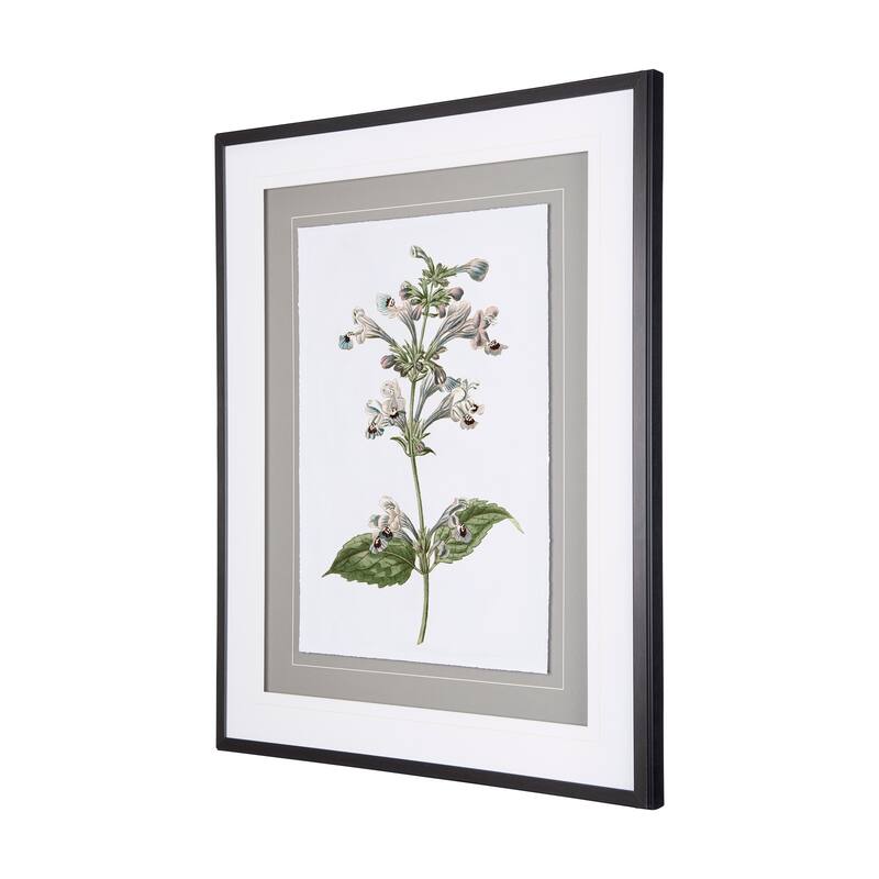 Soft Blue Botanicals III Framed Art Print