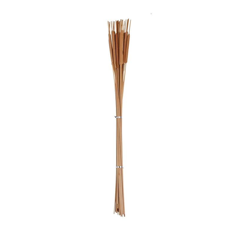 26" Pencil Cattail x 25 Natural, Set of 6 - 26