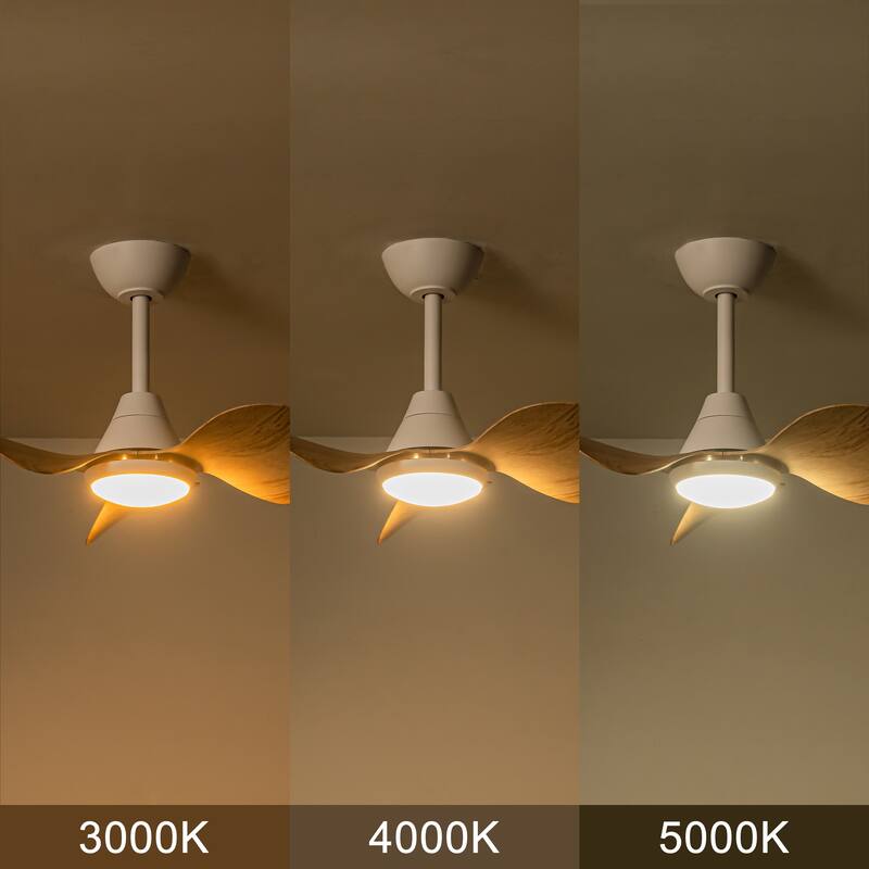 C Cattleya 24" 3 Blades DC Motor Dimmable Integrated LED Ceiling Fan with Remote Control