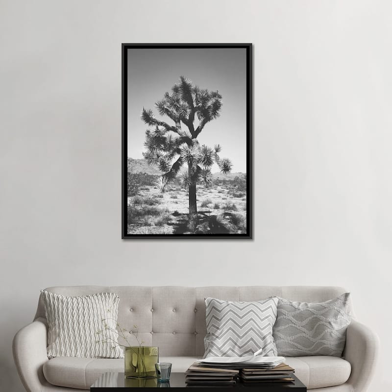 iCanvas "Joshua Tree I" by Ann Hudec Framed Canvas Print