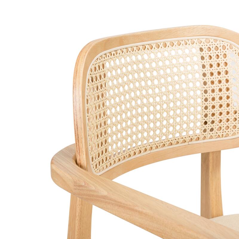 Christopher Knight Home - Sorin Modern Rattan and Upholstered Indoor Dining Chair with Armrest - Set of 2