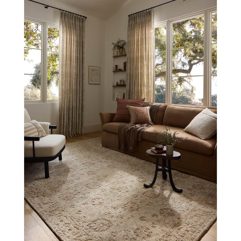 Alexander Home Paxen Traditional Area Rug