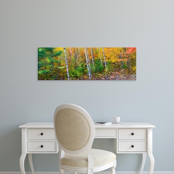 Easy Art Prints Panoramic Images's 'Autumn, Hiawatha National Forest, Alger Upper Peninsula, Michigan' Canvas Art
