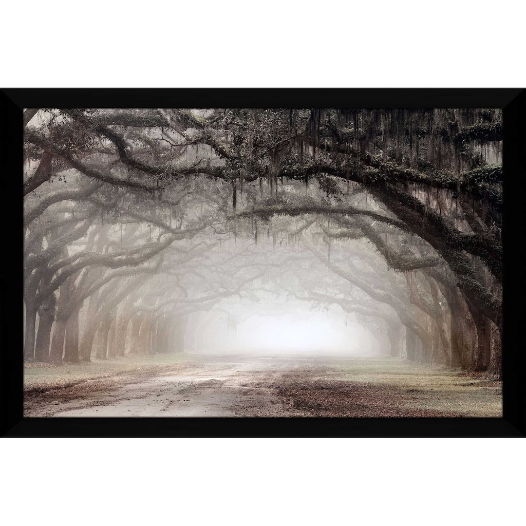 "Timeless Plantation Drive" by Danita Delimont Print on Acrylic