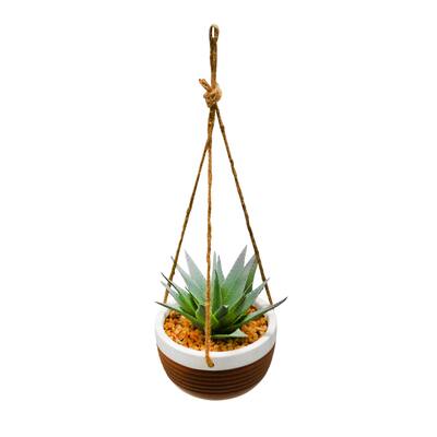 13" Succulents Hanging Planter In Colorful Ceramic Pot