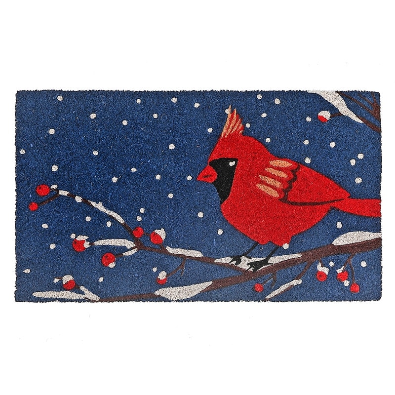 Winter Doormats - Bed Bath & Beyond