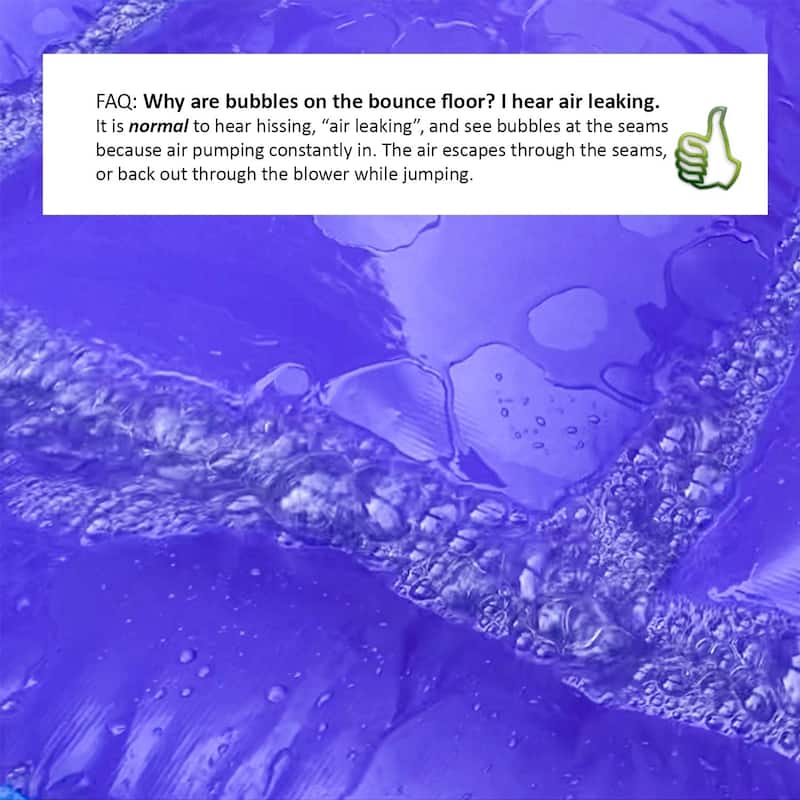 HeroKiddo 16' Purple Tropical Inflatable Kids Water Slide with Attached Pool (No Blower Included), Commercial Grade, Wet Dry Use