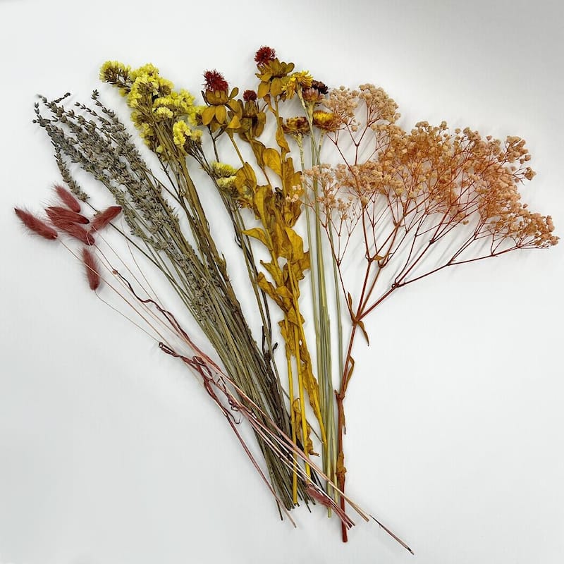 Real Preserved Mixed Bouquets Mix 1 Small - Med - Large - Multi Colored