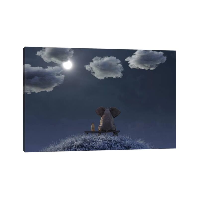 iCanvas "Elephant And Dog Are Sitting On A Meadow On A Moonlit Night" by Mike Kiev Canvas Print
