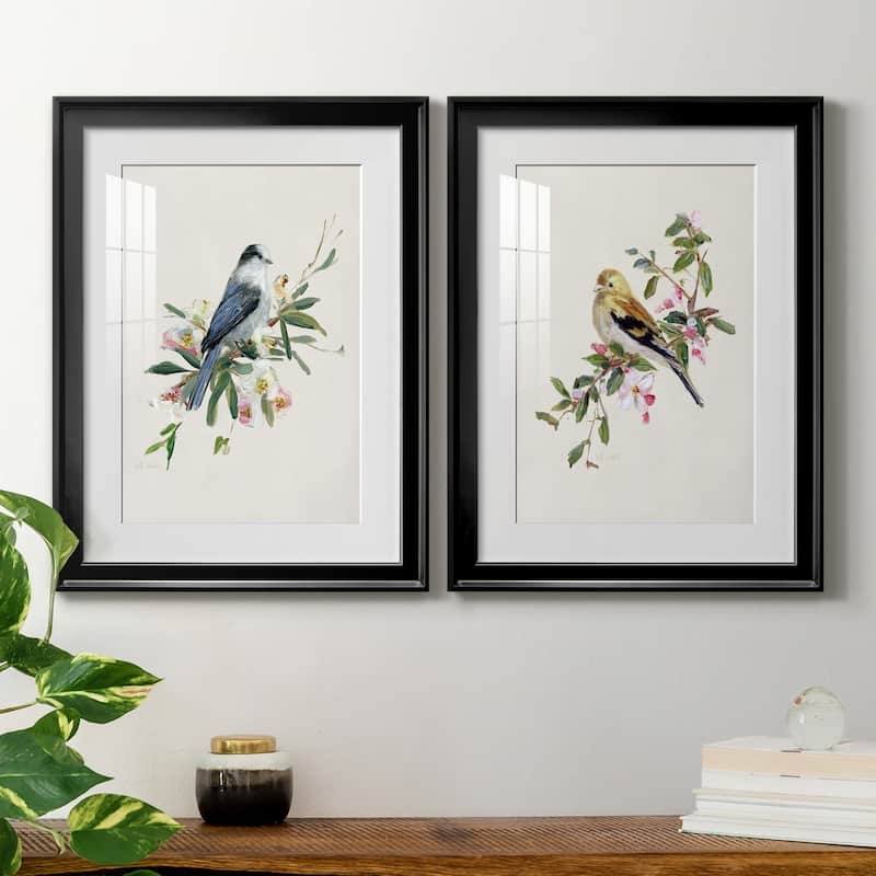 Spring Song Gray Jay Premium Framed Print - Ready to Hang