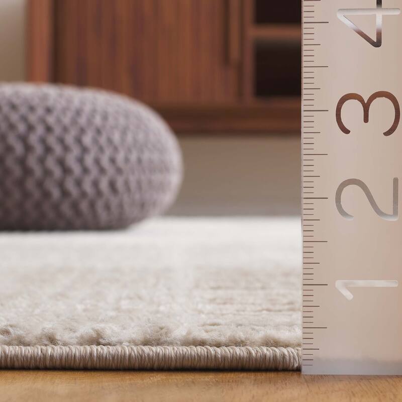 SAFAVIEH Saylor Mascha Modern & Contemporary Rug