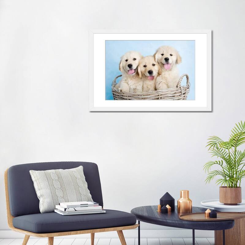 iCanvas "Buffy, Biskit, And Beau" by Rachael Hale