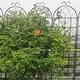 preview thumbnail 3 of 7, 4 Pack Outdoor Metal Black Garden Trellis