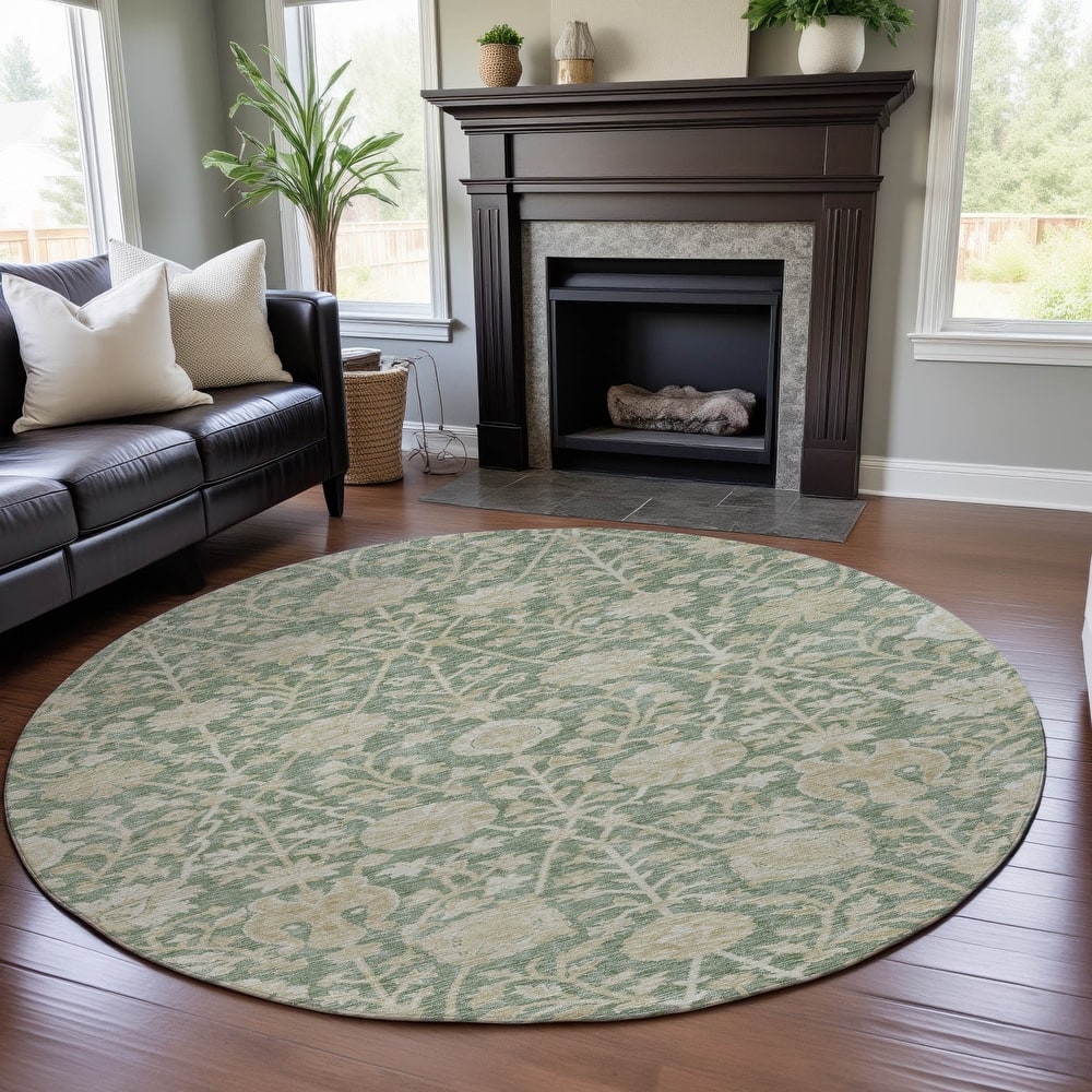 Premium Washable Super Soft Vintage Traditional Mayfield Rug