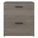 City Park 2 Drawer Lateral File Cabinet by kathy ireland® Home